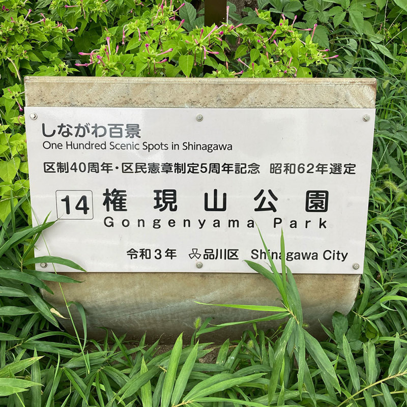 品川山登り番外編 #1日1記事P_c0060143_10574746.jpg