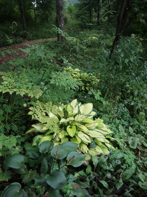 旅は道連れ長野の旅･････その４_b0331802_22194397.jpg