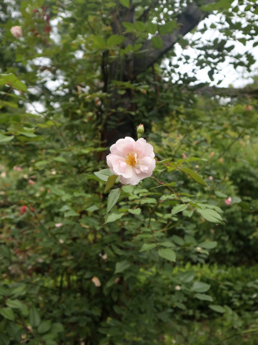 旅は道連れ長野の旅･････その４_b0331802_22202567.jpg