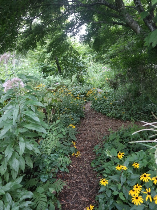 旅は道連れ長野の旅･････その４_b0331802_22215994.jpg