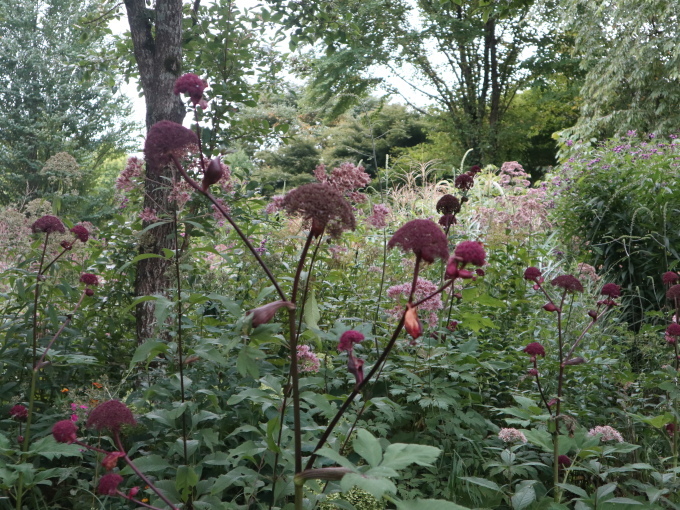 旅は道連れ長野の旅･････その４_b0331802_22220608.jpg