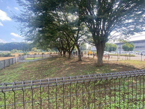 令和の森公園整備順調に進む_d0130714_20095295.jpeg