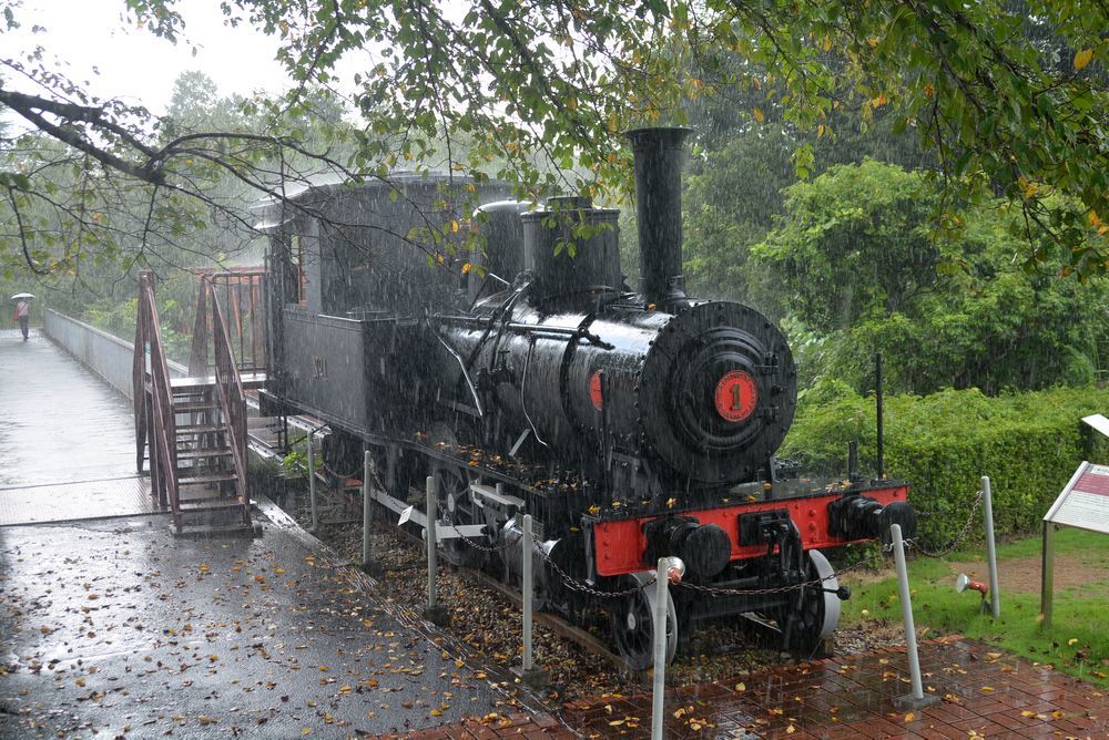 激しい雨に濡れる尾西鉄道1号機関車_e0373930_18394214.jpg