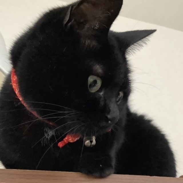 モヤモヤ・・・_e0358096_17290358.jpeg