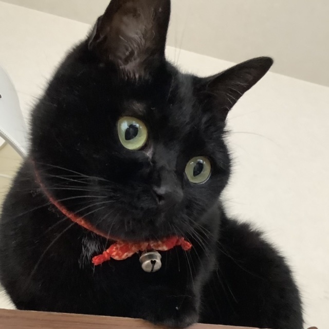 モヤモヤ・・・_e0358096_17294194.jpeg