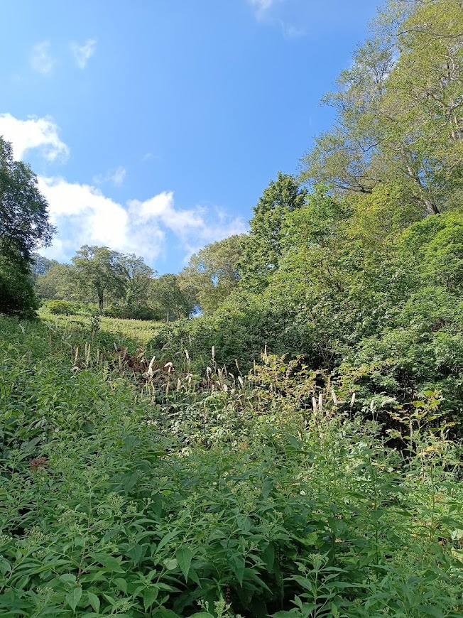 旅は道連れ長野の旅･････その５_b0331802_22433888.jpg