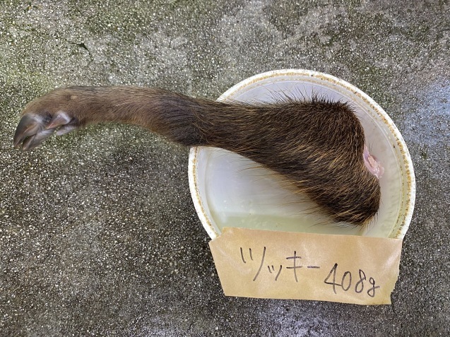 ツッキーのスペシャルメニュー_c0290504_15574597.jpg