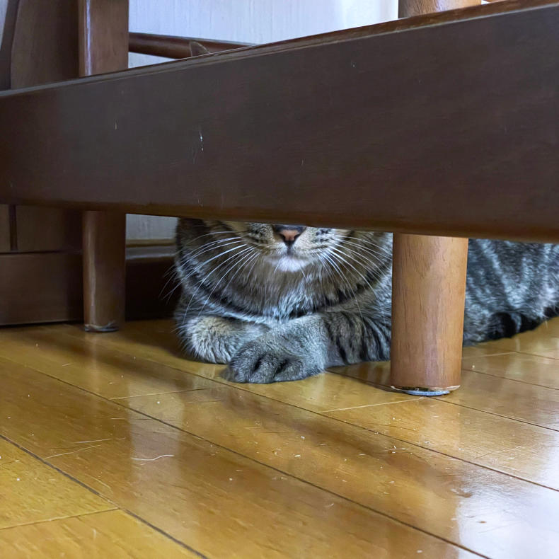 ぶーたれゆずくん_d0355333_22370604.jpg
