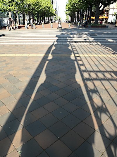 年に一度_b0055196_08572609.jpg