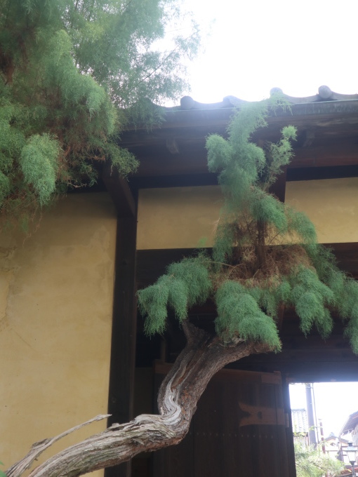旅は道連れ長野の旅･････その6_b0331802_23410695.jpg