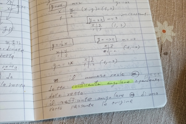 思い出話⑥　クレモナ製作学校、一般科目編_d0047461_23462665.jpg