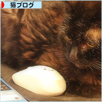 執筆を手伝う猫_a0389088_14194444.jpg
