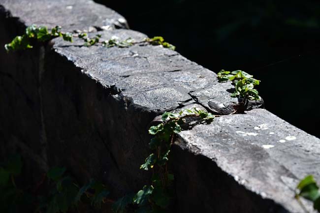 カラミ煉瓦の塀・秋田県八峰町_f0173596_11014203.jpg