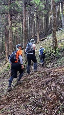 京丈山（ワナバン谷登山口）_f0193521_17583534.jpg