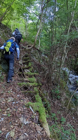 京丈山（ワナバン谷登山口）_f0193521_17585814.jpg