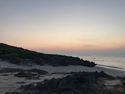 琉球国初代王・舜天〈42〉ミカンと済州島_a0300530_04204710.jpg