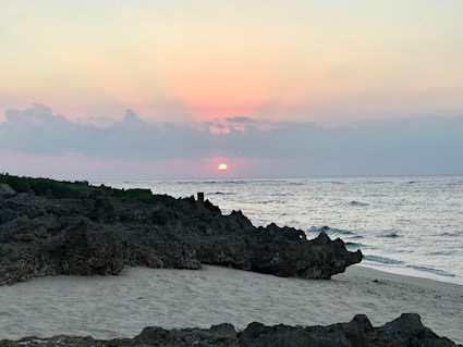 琉球国初代王・舜天〈42〉ミカンと済州島_a0300530_04591310.jpg