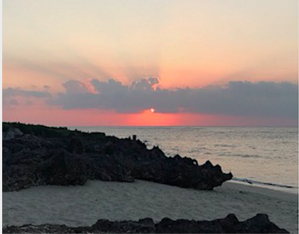 琉球国初代王・舜天〈42〉ミカンと済州島_a0300530_05441135.png