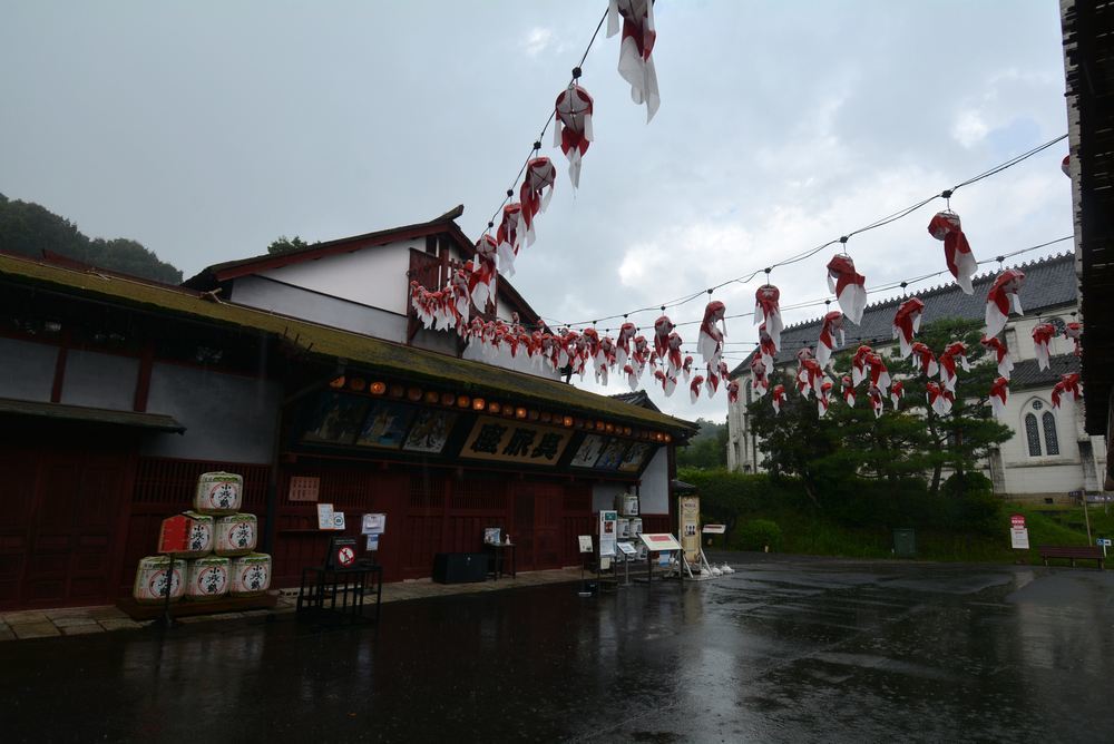 雨再び 豪雨に金魚舞う_e0373930_09194771.jpg