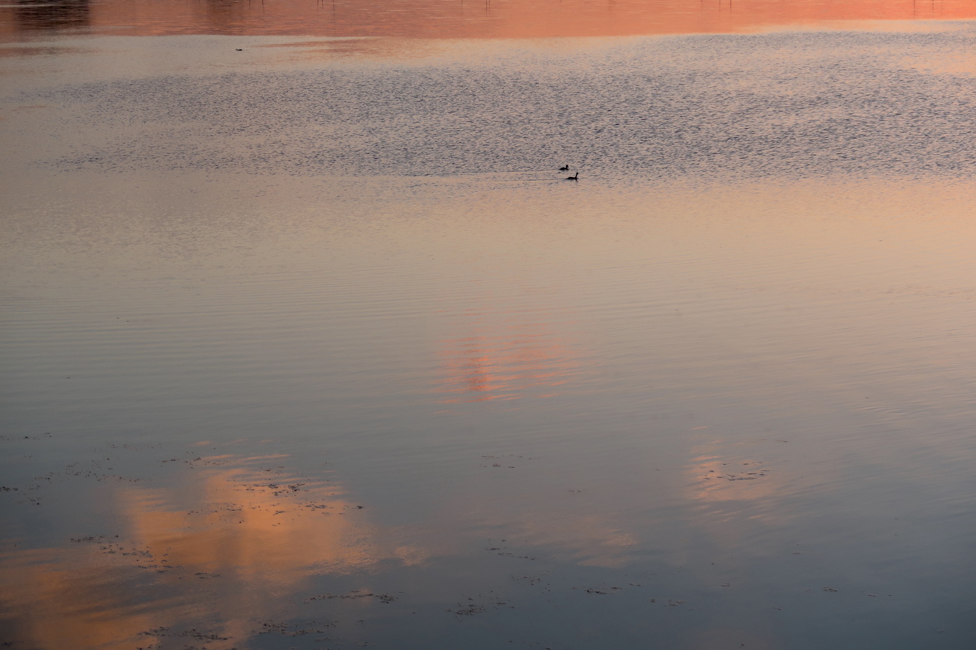 夕日ゆくも雲と湖夕いろで美しいトラジメーノ湖_f0234936_22393348.jpg
