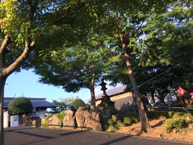 彼岸花に導かれて行く_c0155326_05481481.jpg