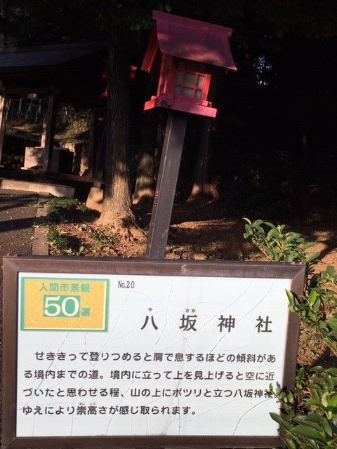 彼岸花に導かれて行く_c0155326_05490816.jpg