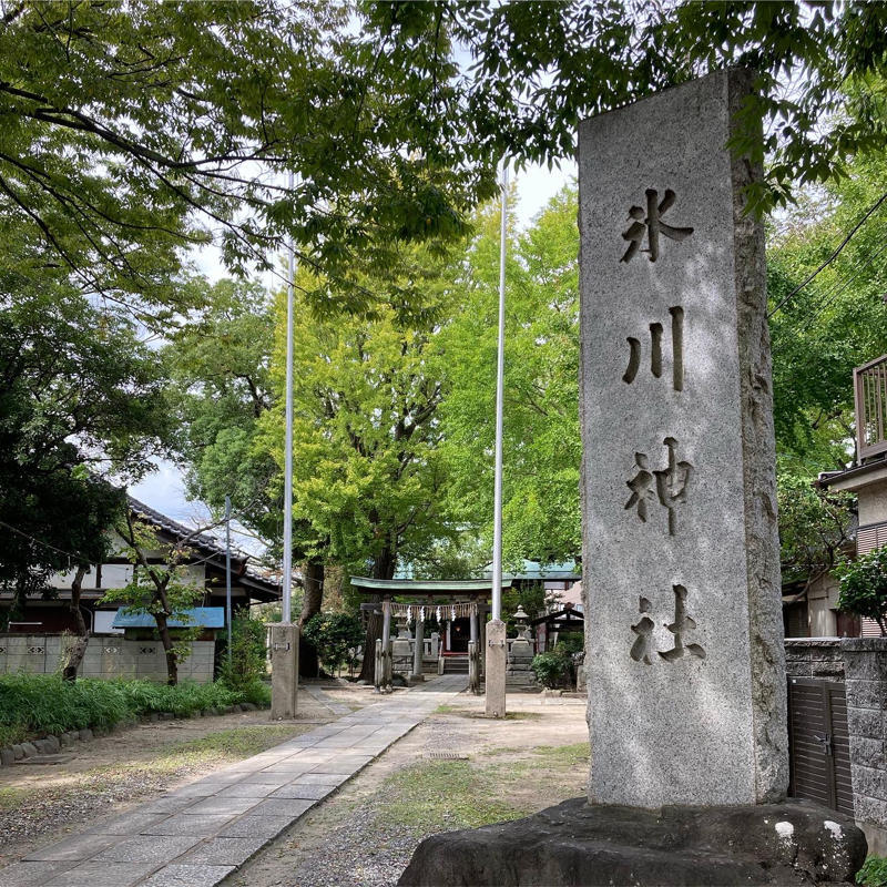 大川町氷川神社「大川富士」  #1日1記事P_c0060143_06575938.jpg