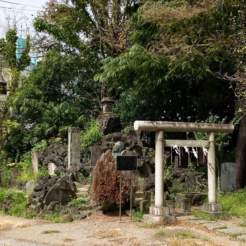 大川町氷川神社「大川富士」  #1日1記事P_c0060143_06580074.jpg