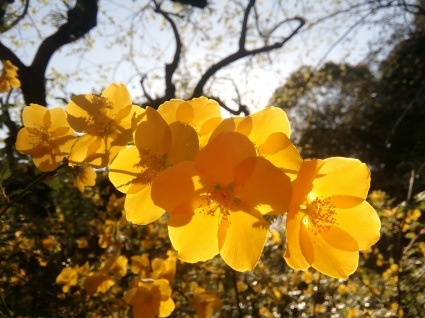 あきだね…_b0368362_14020152.jpg