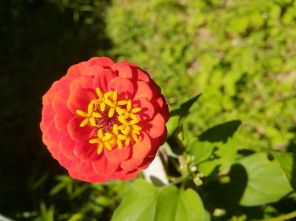 あきだね…_b0368362_14020163.jpg