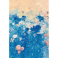 画室1_e0045977_15485260.jpg