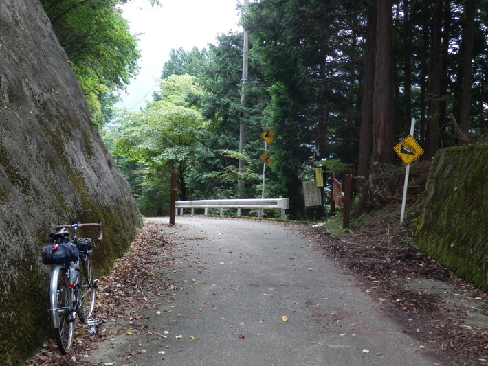 和田峠・巌道峠・大川原天神峠・半原越_b0334084_16295868.jpg