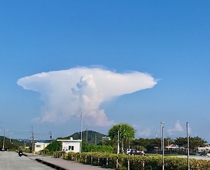 琉球国初代王・舜天〈43〉黒潮の民_a0300530_12042044.jpg