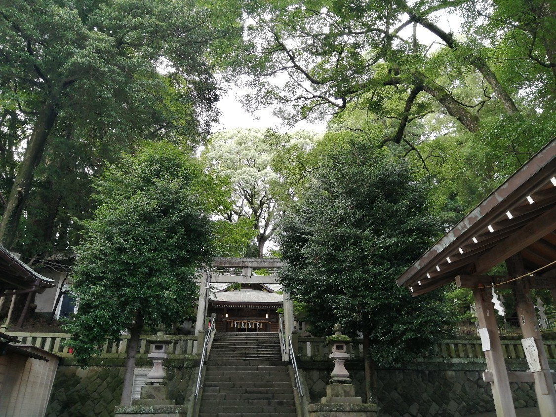 4歳8ヶ月 チームワーク_e0277143_10042463.jpg