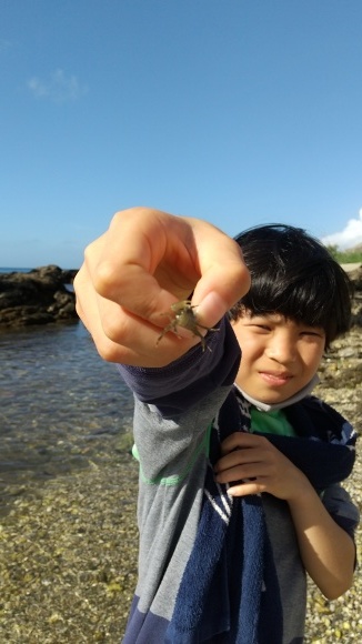 :.+*。・、゜◎🐠。・、゜🐟。・🎣「すいせいせいぶつかんさつにっき」:.+*。・、゜◎🐠。・、゜🐟。・🎣_d0101847_11335513.jpg