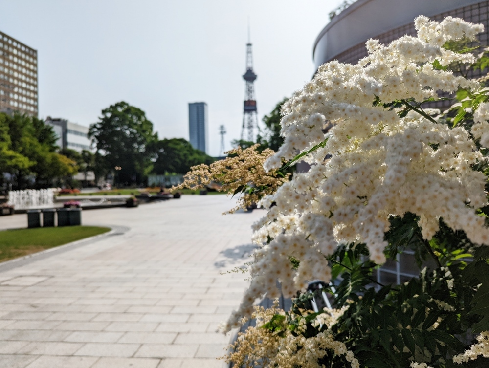 7月の祈りと悼み_d0039059_14175349.jpg