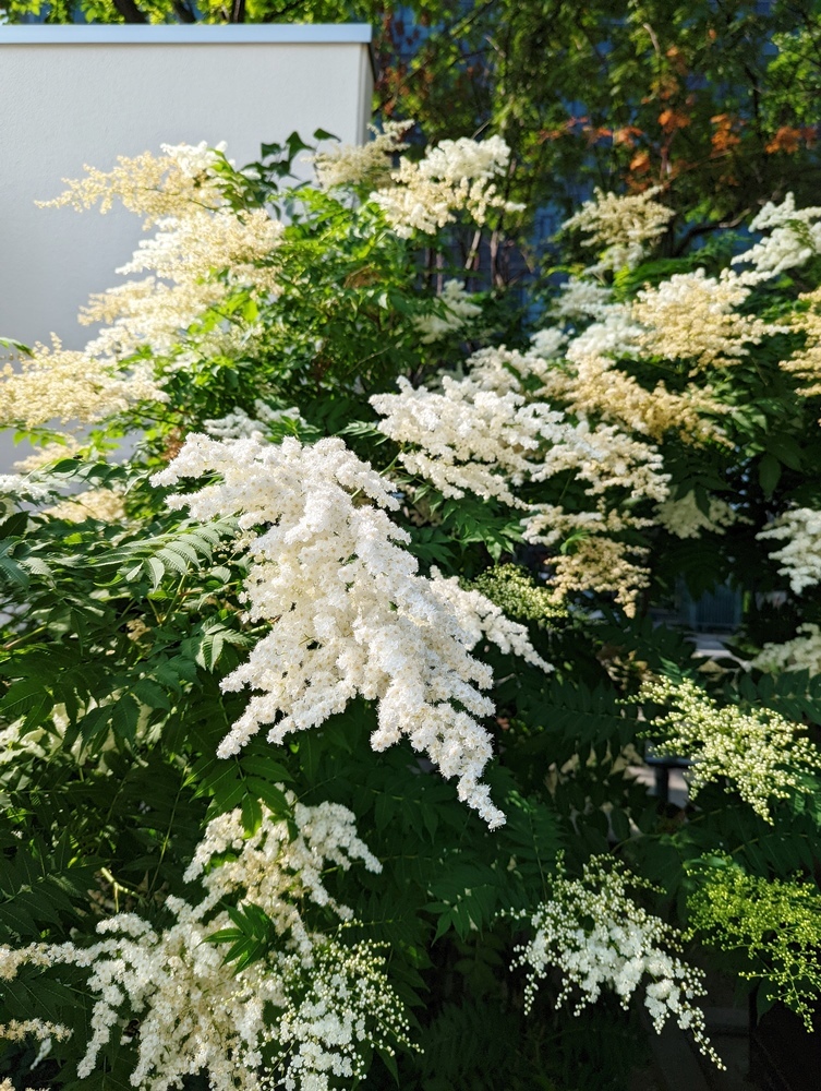 7月の祈りと悼み_d0039059_14182681.jpg