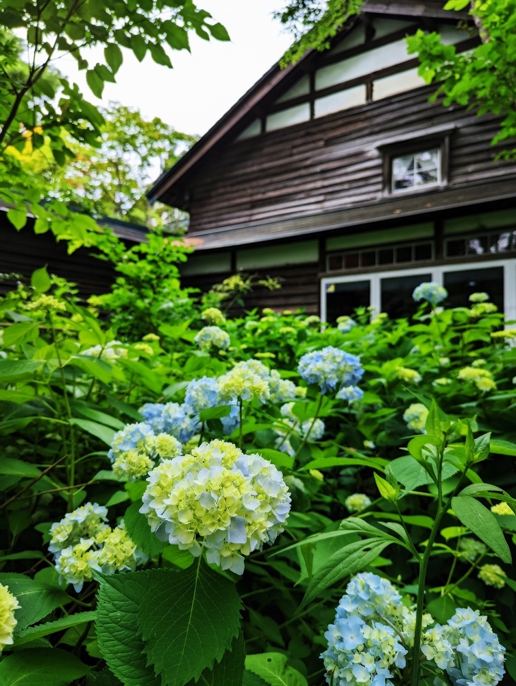 7月の祈りと悼み_d0039059_14221239.jpg