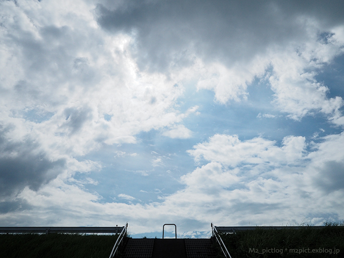 空振りの功罪_e0097970_18183228.jpg