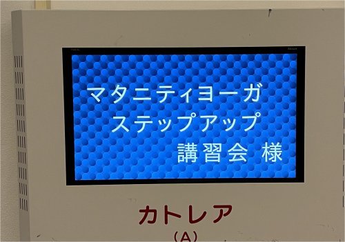 マタニティ・ヨーガステップアップ講習会 in 大阪_c0191589_08150860.jpg