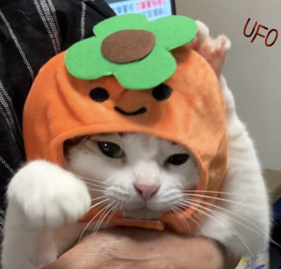 芸術の秋 りりーちゃん いこちゃんみかんの帽子 LINEスタンプ_f0375804_07462000.jpg