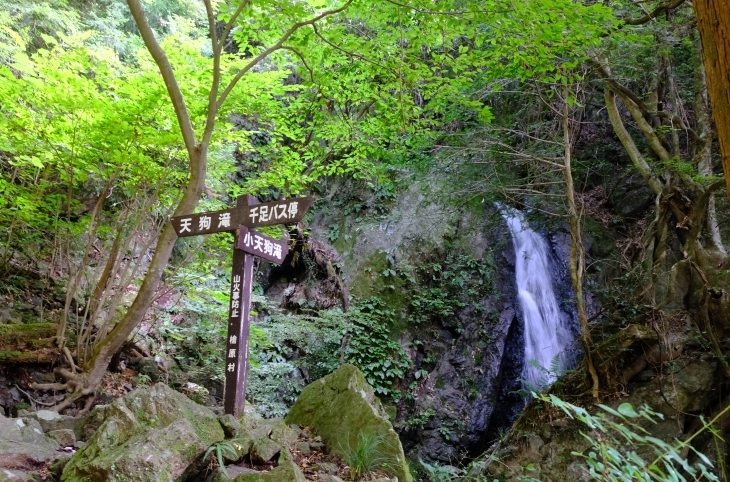 一人登山 大岳山_e0000910_09511597.jpg
