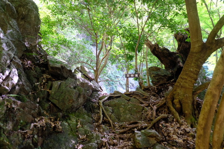 一人登山 大岳山_e0000910_09515351.jpg