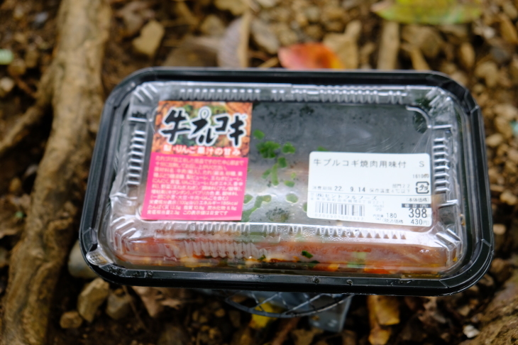 一人登山 大岳山_e0000910_10112536.jpg