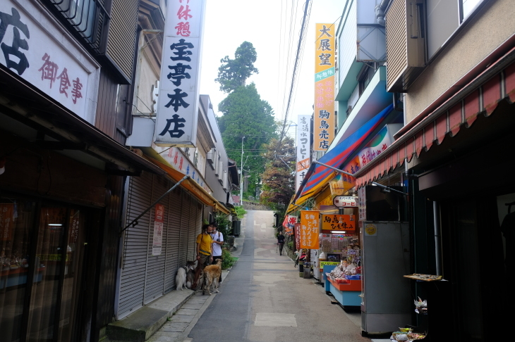 一人登山 大岳山_e0000910_10151181.jpg
