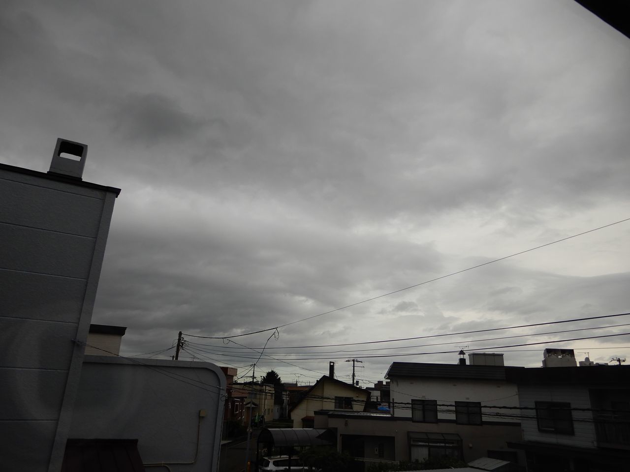 ひどい嵐にはならなかったもののスズメが挙動不審_c0025115_21095487.jpg