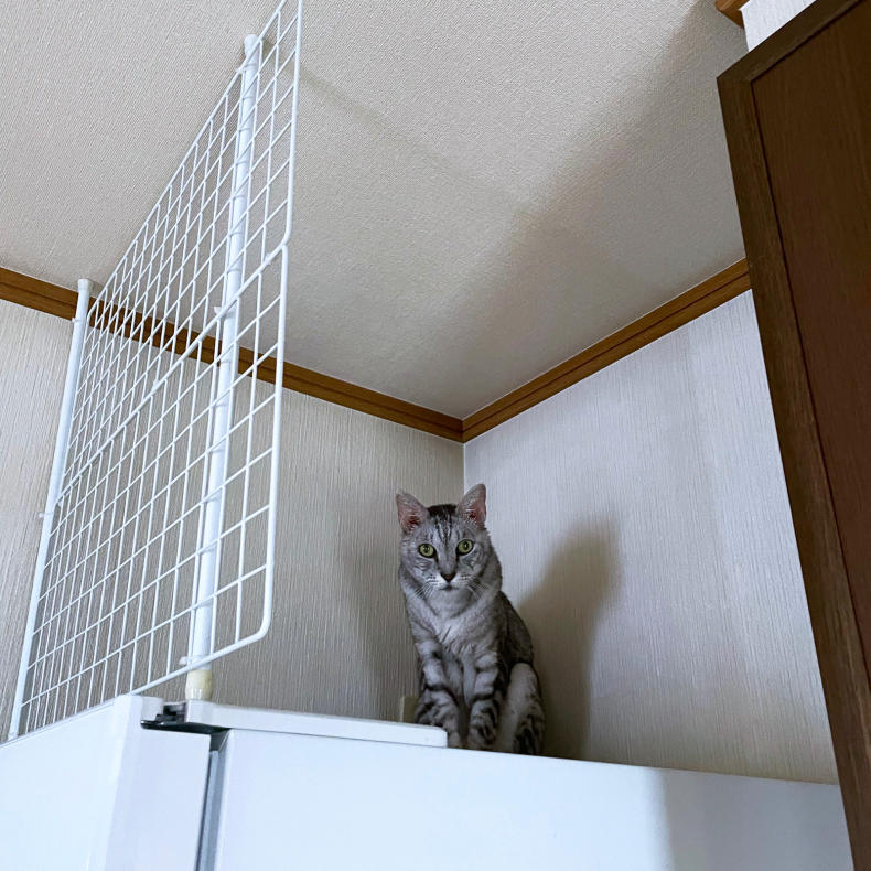 ちょっと涼しくなって。_d0355333_21195929.jpg