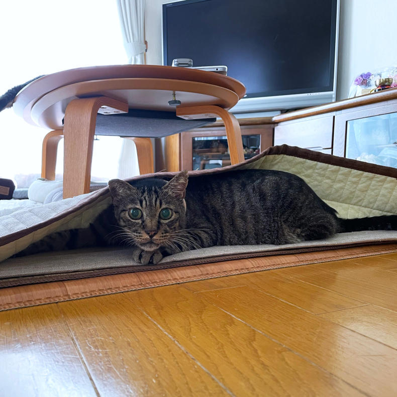 ちょっと涼しくなって。_d0355333_21200287.jpg