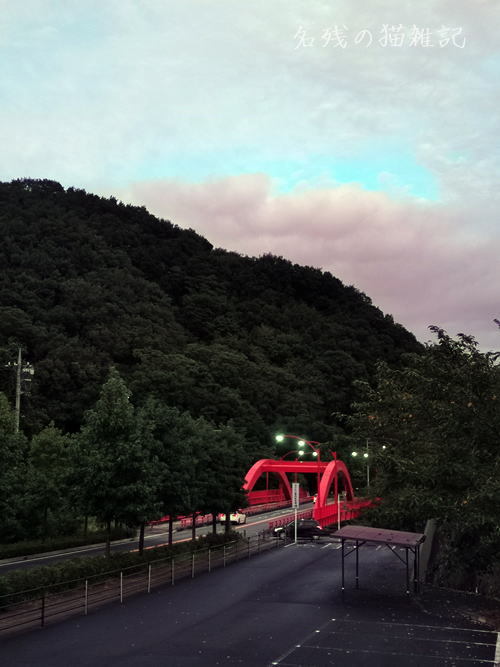 朝はスリランカ・カレーとけんちん汁とチャプチェ、昼はチヂミでビール、雨上がりの雲の隙間に青空が覗き、夕焼け雲は不思議な色合いを見せていました_b0399777_18093545.jpg