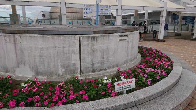名古屋港水族館前花壇の植栽R4.9.12_d0338682_14574430.jpg